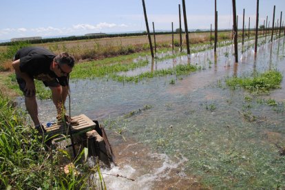 Una de las bocas de agua que ayer se abrieron en Miralcamp para la supervivencia del arbolado.