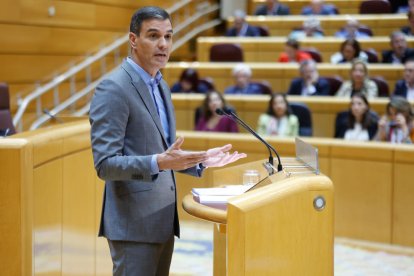 El president espanyol, Pedro Sánchez, al Senat.