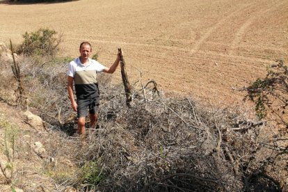 Gerard Mollet, agricultor de Bassella, en una de les seues finques amb restes agrícoles.