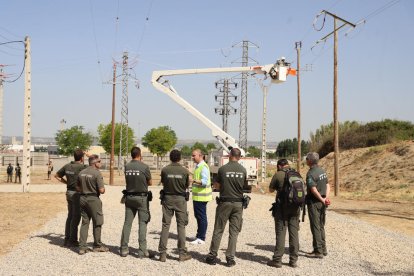 Formació dels Agents Rurals ahir a la seu d’Endesa a Lleida.