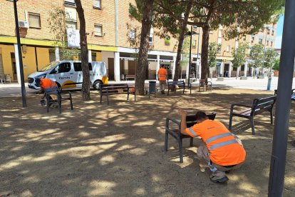 Un grup d’operaris arreglen i repinten els bancs de la plaça de Sant Pere, ahir al Secà.