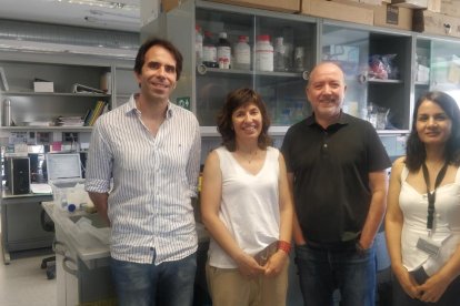 Investigadors de l'IRBLleida que han fet una recerca sobre l'Alzheimer.