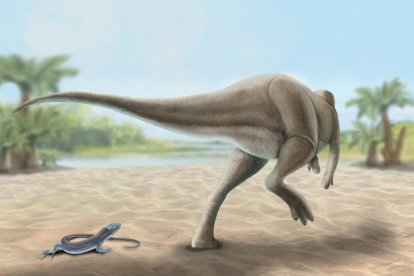 Recreació del dinosaure Calvarius Rapidus