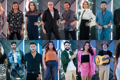 Algunos de los cantantes que participarán en el formato.