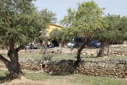 Los Mossos d’Esquadra ayer por la mañana en la casa de L’Albi en la que había una plantación de marihuana. 