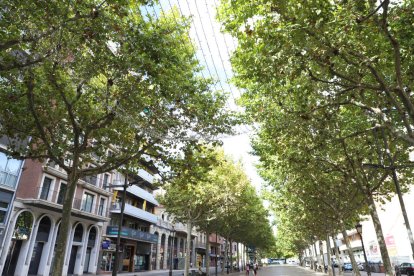 Proves dels nous llums nadalencs a la rambla de Ferran