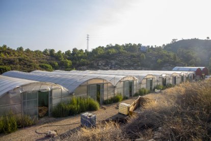 La finca és en una zona de difícil accés envoltada de boscos a 10 quilòmetres d'Almatret.