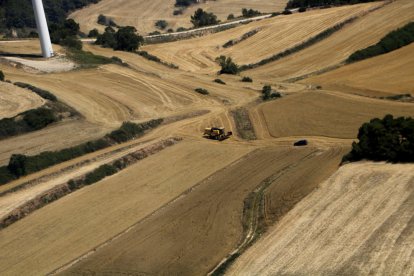 Vista aèria d'una màquina segant un camp a l'Urgell