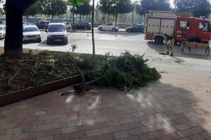 Los Bomberos ayer en la plaza Pare Sanahuja. 