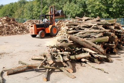 Un treballador amb una màquina per moure llenya a punt per vendre al Ripollès