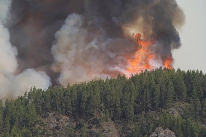 Imatge de la magnitud de les flames a la zona de La Orotava que va obligar a l’evacuació i al confinament de centenars de persones.