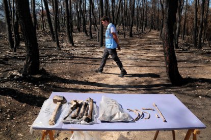 Restes òssies de la Guerra Civil trobades en una de les zones afectades per l'incendi de Corbera d'Ebre d'aquest estiu.