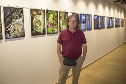  Antonio Galeote, ante las imágenes que forman parte de ‘La química de l’art’.