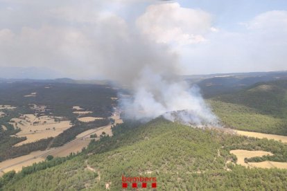 La columna de fum de l'incendi d'Altés.