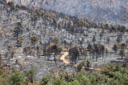 Els mitjans aeris van centrar els esforços en l’incendi de Lladurs, al Solsonès.