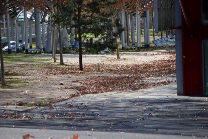 Los Bomberos atienden un centenar de avisos entre las 10 h y las 14 h para los fuertes vientos y hasta 172 desde el lunes