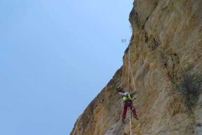 Treballs d’Infraestructures de Muntanya SL a Mont-rebei després de l’allau de pedres del juny del 2019.