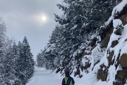 nieve de este martes en Tavascan