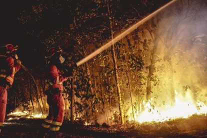 Efectivos de la Unidad Militar de Emergencias (UME) tratan de apagar las llamas de un foco del incendio en Tenerife.