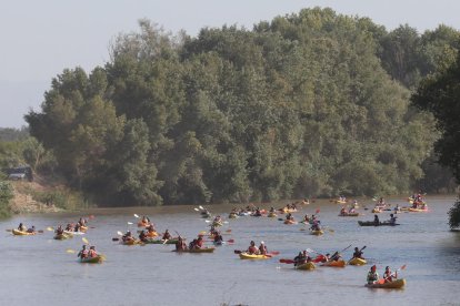 Prop de 400 participants van poder disfrutar d’una jornada de piragüisme al riu Segre, des de Torres de Segre fins a la Granja d’Escarp.