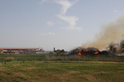 Sufoquen un aparatós incendi en un paller d'una explotació ramadera a Bellvís