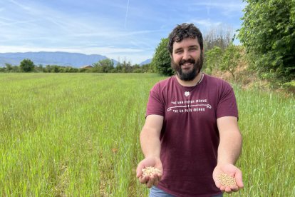 Iban Campos, amb una mostra de pasta elaborada amb aquest blat.