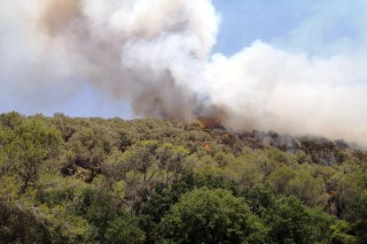 Los Bomberos trabajan en un incendio forestal en Olivella, en el macizo del Garraf