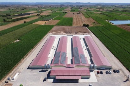 Imagen aérea de la Granja Finet, en Arbeca.