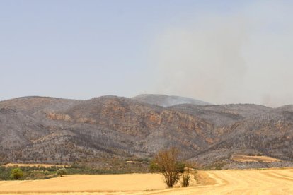 Vista de Baldomar, nucli d’Artesa de Segre, amb el paisatge calcinat al fons.