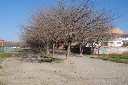 La vía verde ubicada tras el paseo La Salle de Mollerussa. 