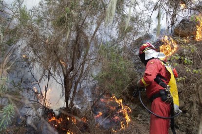 Un bomber apagant flames en l’incendi de Tenerife, que ja ocupa una superfície de més de 12.800 hectàrees.