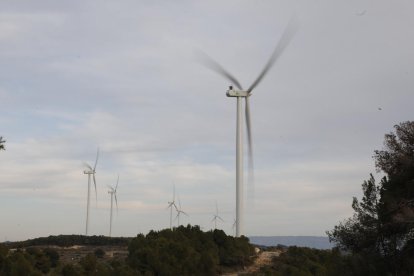 En funcionamiento el primer parque eólico en una década  -  Las aspas de los 20 molinos del parque eólico de Solans, entre Llardecans y La Granadella, comenzaron a funcionar ayer por la tarde tras tres años de obras. Es el primer parque eólico ...