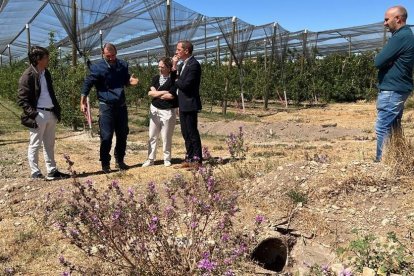 Visita del subdelegado del gobierno español en Lleida, José Crespín, y de representantes de Afrucat en una finca de Miralcamp  donde se está haciendo una actuación para poder volver a regar a manta.