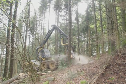 La gestión forestal, en '30 minuts'