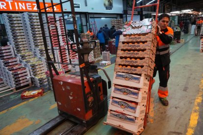 Un empleado de Mercabilbao, trabajando estos días previos a las fiestas navideñas.