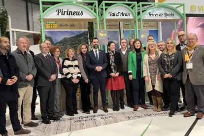 El conseller Torrent con el presidente de la Diputación, Joan Talarn, y representantes locales y de la Generalitat ayer en FItur, en Madrid.