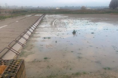 La zona de la parrilla de salida estaba completamente anegada por la lluvia.