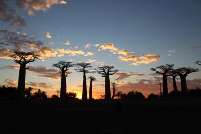 “L'eurocentrisme marca el llenguatge i els valors pretesament globals”Àfrica, laboratori del rol de la diversitat