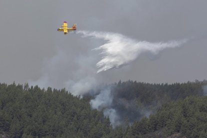 Un hidroavión del Ejército del Aire ayer en las labores de extinción en la zona de Güímar.