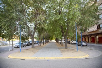 El tramo que ya se ha renovado de la avenida Ermengol V de Mollerussa. 