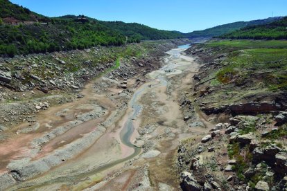 Un any de sequera i una conca del Segre molt afectada