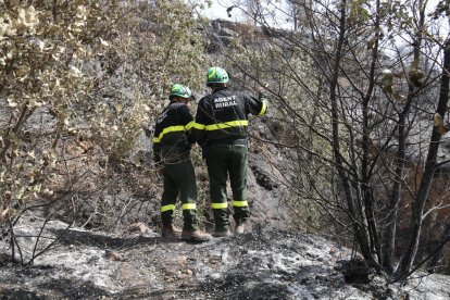 Investigadors dels Agents Rurals a la zona on va començar l'incendi de Baldomar