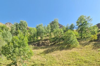 Turistes israelians de pícnic al Pirineu el cap de setmana passat.