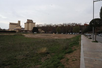 Solar de Josep Pallach , en primer plano, y al fondo los antiguos silos del Senpa.