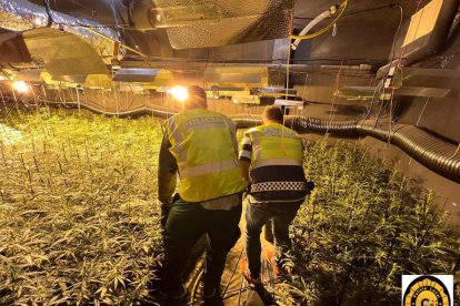 Cop al tràfic de marihuana en una urbanització de Cambrils