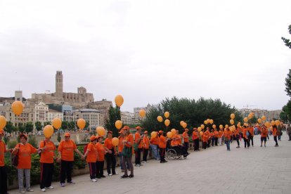 Imatges d’arxiu de diferents activitats de les entitats lleidatanes que formen part de la Federació ALLEM.