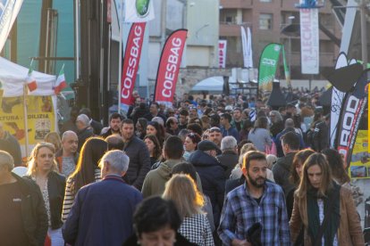 La fira de Sant Josep de Mollerussa va atreure ahir centenars de visitants.