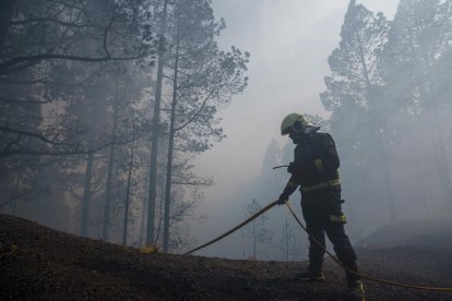 Un bombero en un bosque arrasado por las llamas.