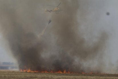 Un helicòpter treballa en les tasques d'extinció de l'incendi forestal de la comarca de Tábara (Zamora) el juliol passat