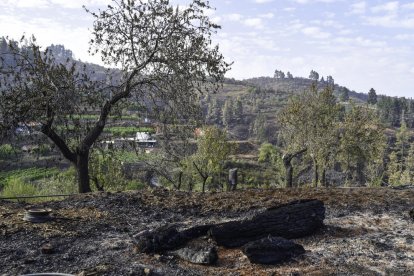 Les destrosses del foc es poden apreciar a La Palma, illa que ja va patir l’erupció del volcà.